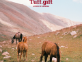 Armenia Postcard | Tuff.gift